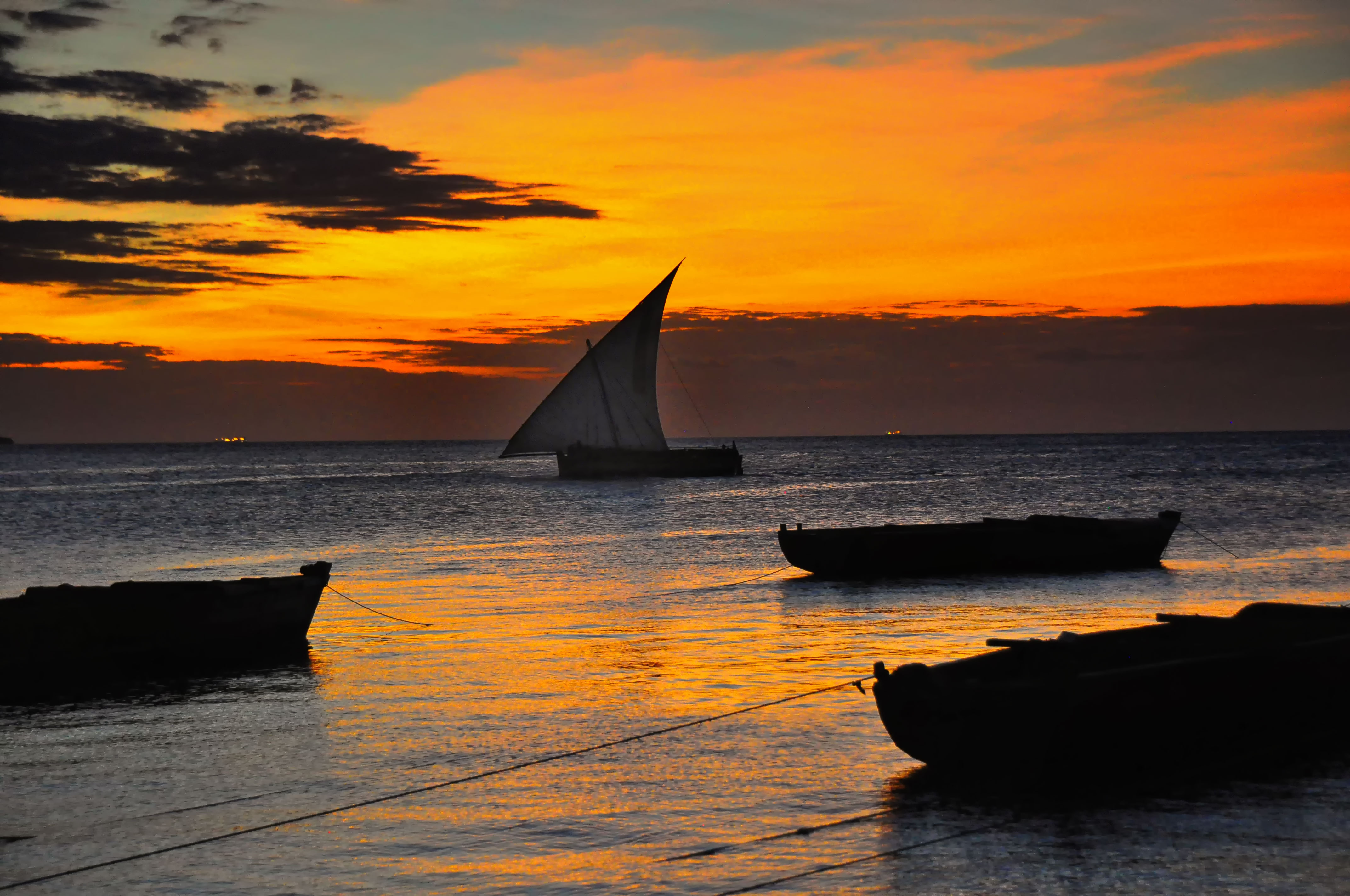 Traditional dhow on the Indian Ocean at sunset in Zanzibar