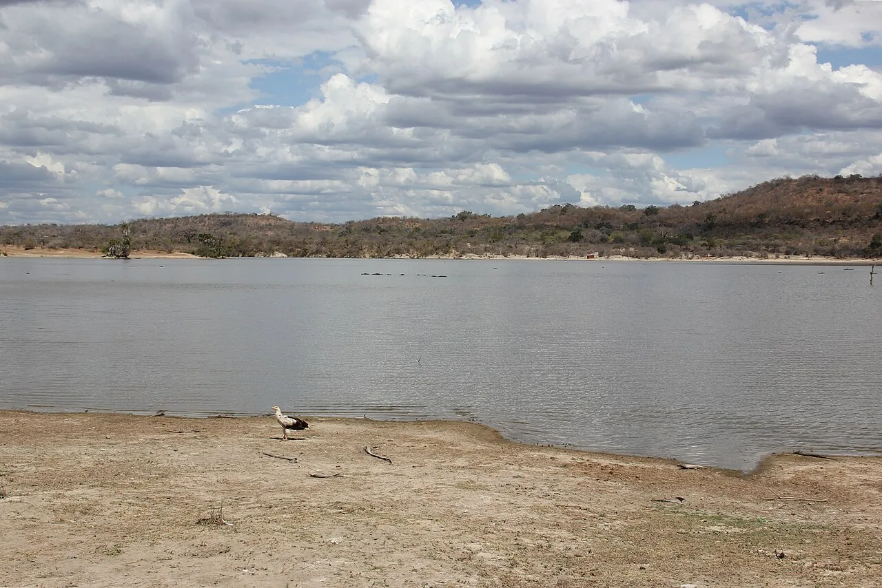 Lake and surrounding wilderness photographed in Selous Game Reserve