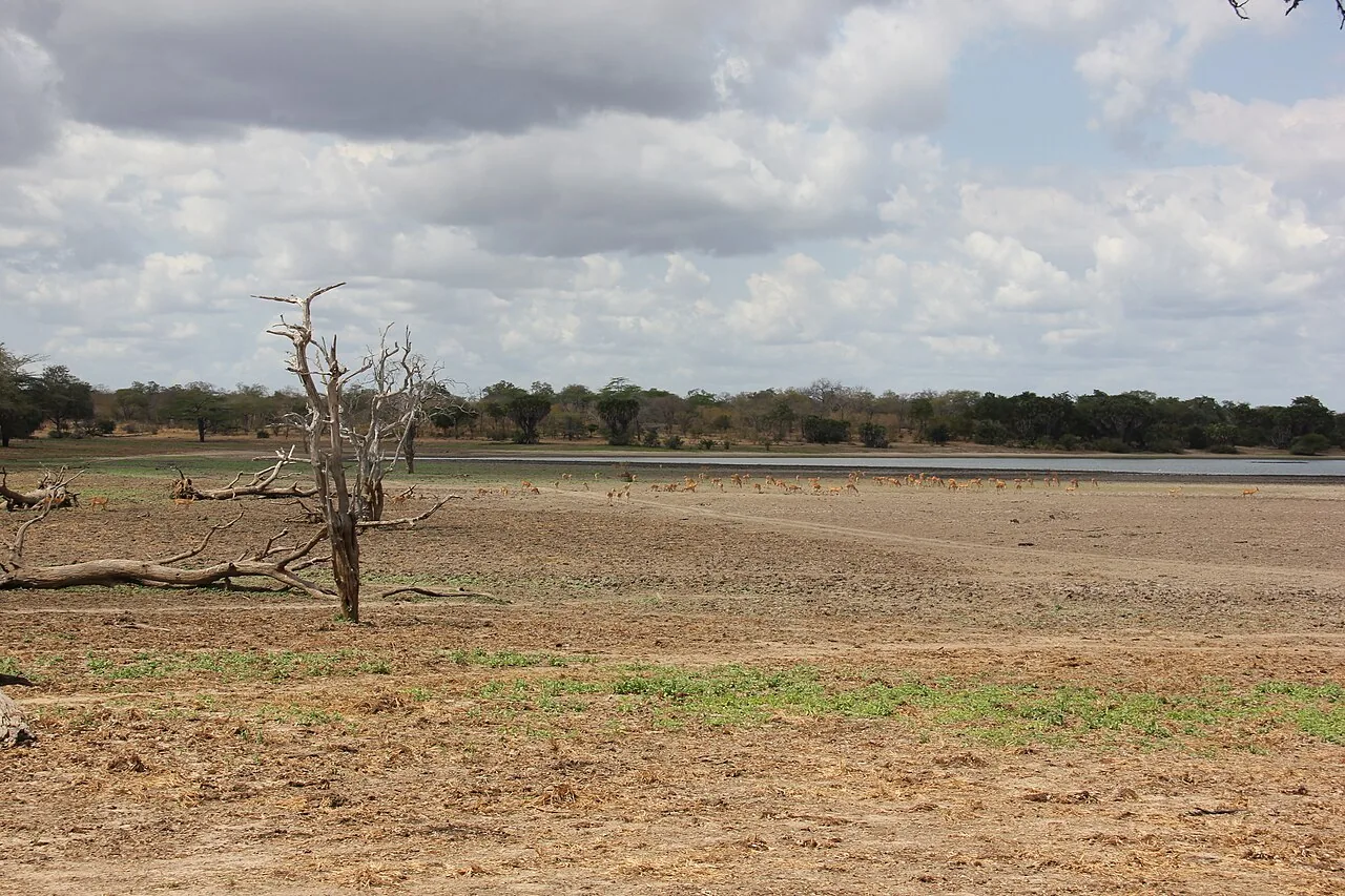 Dry lakebed and open landscape photographed in Selous Game Reserve