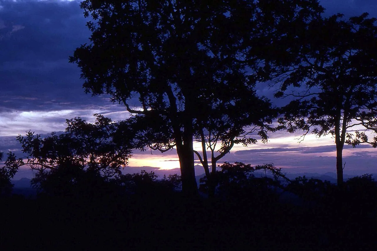 Wilderness landscape in Mikumi National Park
