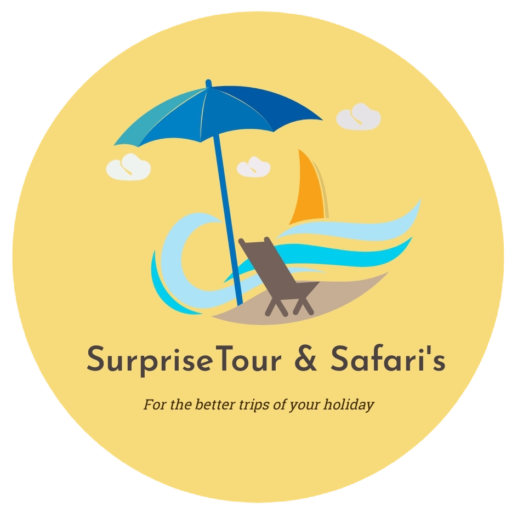 Surprisetour logo