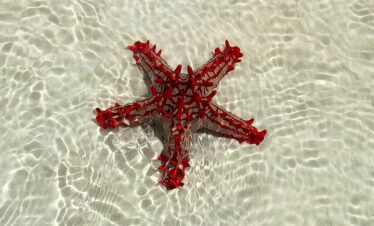 Beautiful blue lagoon