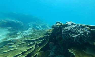 Beautiful blue lagoon