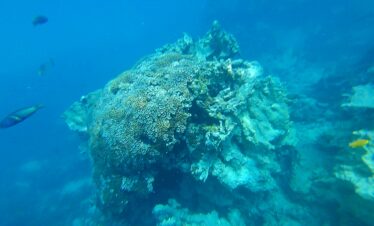 Beautiful blue lagoon