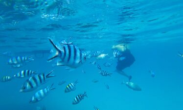 Beautiful blue lagoon