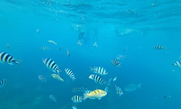 Beautiful blue lagoon