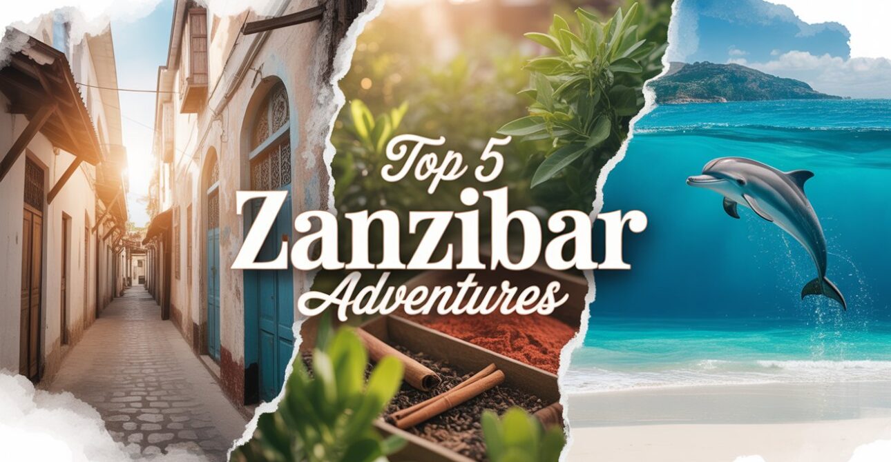 🌴Unlock the Magic of Zanzibar: Top 5 Thrilling Experiences