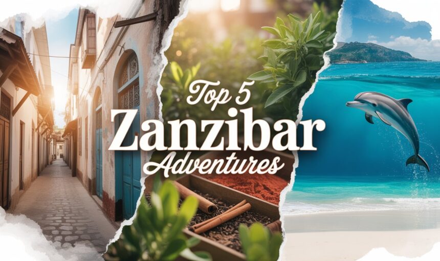 🌴Unlock the Magic of Zanzibar: Top 5 Thrilling Experiences